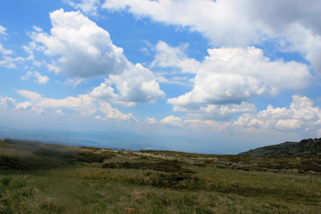 IMG 2092 1024x683